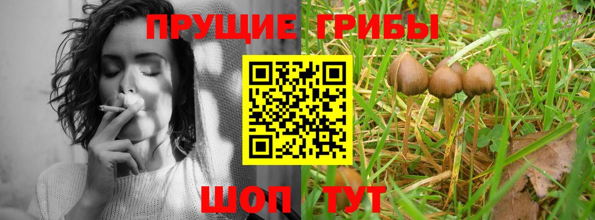 Коряжма  Псилоцибиновые грибы мухоморы  Вход с VPN 